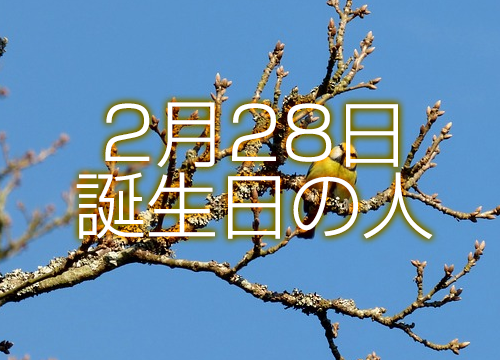 2月28日誕生日生まれの人の運命は 365日トレンディ