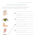 15 best images of esl worksheets preschool kindergarten english - body parts worksheet for kindergarten | kindergarten worksheets parts of the body