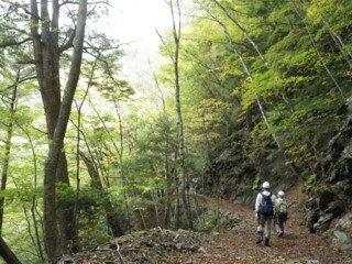 f:id:chichi_blog:20111020115610j:image