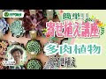 [最も好ましい] 多肉 植物 寄せ 植え 教室 東京 217774
