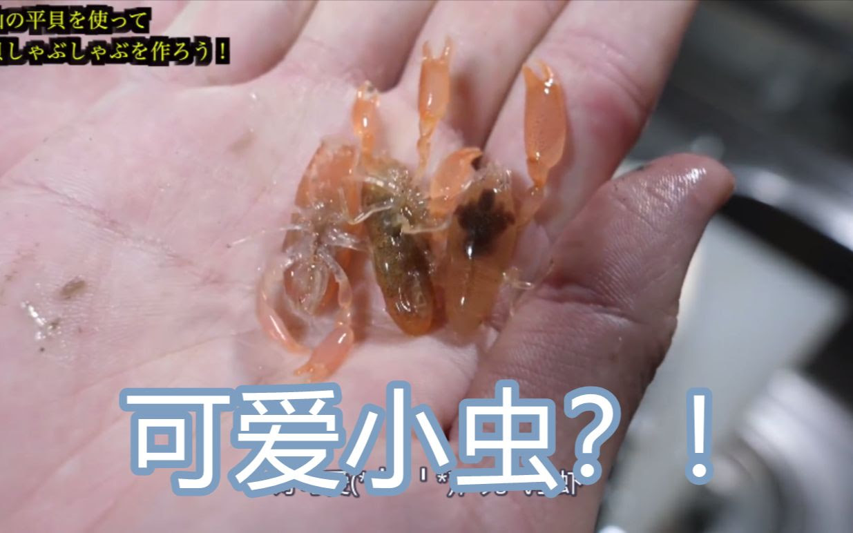 自制字幕 海鲜小哥金子 寄生虫放进油里炸 隔壁小孩都馋哭了 哔哩哔哩 つロ干杯 Bilibili