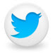 twitter-icon