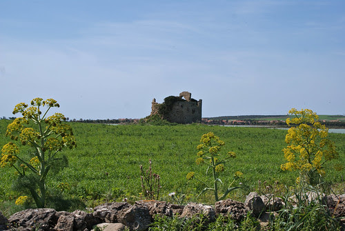 DSC03305