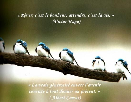 Citations En Images Le Bonheur La Vrai Generosite Le Monde De La Philo Et De La Poesie