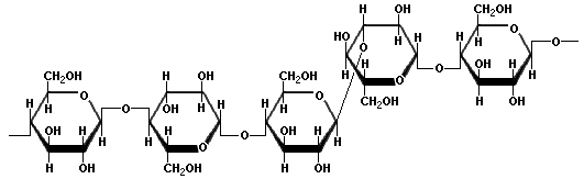 beta-glucan
