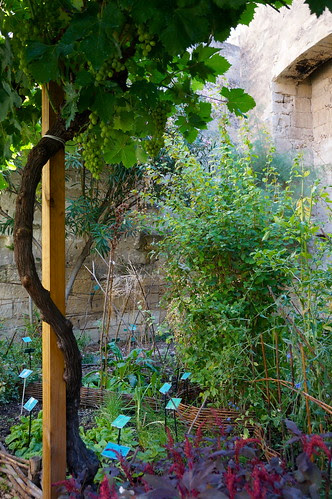 DSC05115 - Version 2