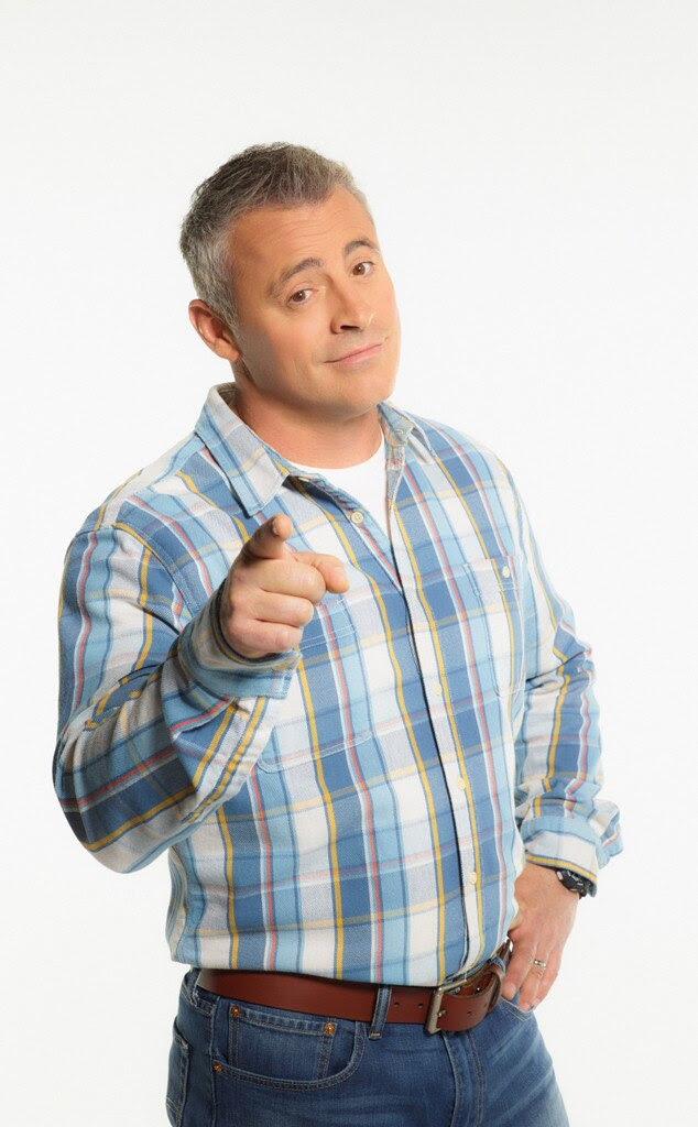 Man With a Plan, Matt LeBlanc