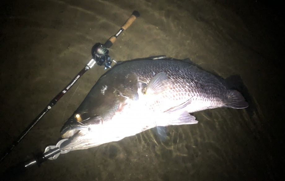 To Be Fish 夢のサイズ タックルの重要性