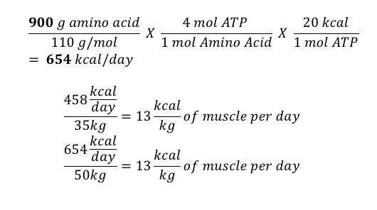 energy equation Research Review: Is cardio better than weights for fat loss?