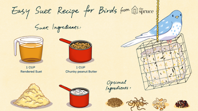 Homemade Bird Suet Feeders