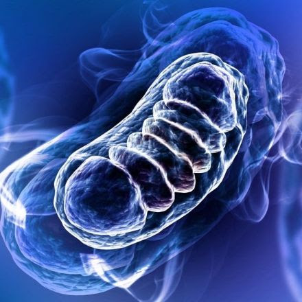 Depression Can Physically Alter Your DNA