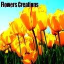 Flowers Creation