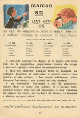 pigeon vole p40