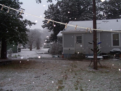 back yard