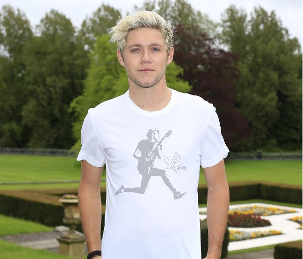 Niall Horan Temukan Rumah Baru untuk Album Solonya ...