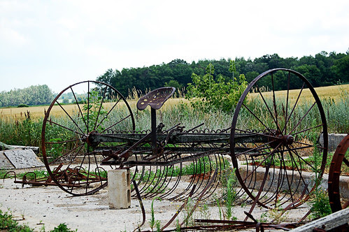 Molitor Farm (44)