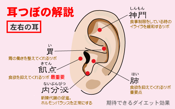 耳つぼダイエットの紹介 大阪屋鍼灸治療院harityth 西新宿