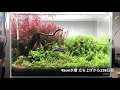 √1000以上 45cm 水槽 レイアウト 212822-45cm 海水 水槽 レイアウト
