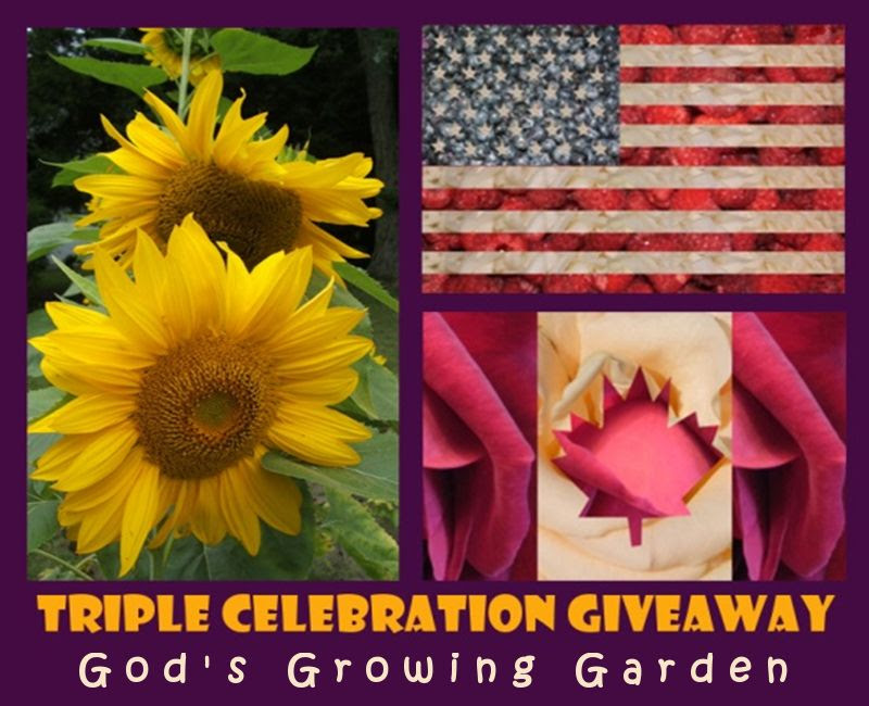 3 years by Angie Ouellette-Tower for godsgrowinggarden.com photo GiveawayTCG_zps998a35a4.jpg