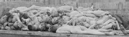 Holocaust Resources