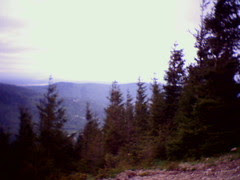 photo_092.jpg