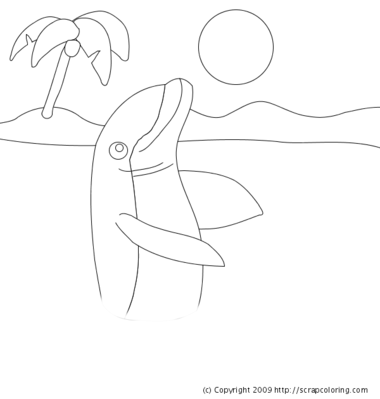 Dolphin coloring pages