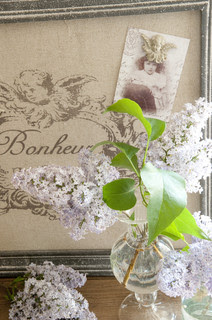 French country home