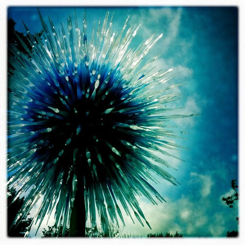 Chihuly at the Dallas arboretum