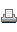 print icon