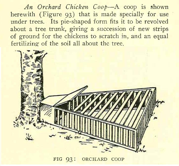 PVC Chicken Feeder Plans