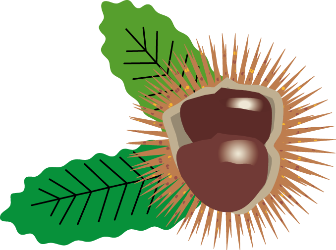 秋 栗のイラスト 無料イラスト