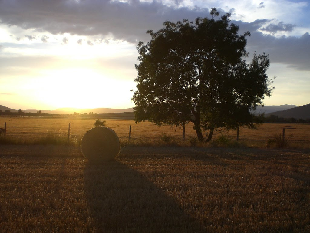 campos de castilla