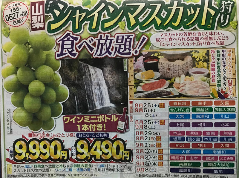 埼玉県内バス発着 プレミアム果実 シャインマスカット 狩り やまなし新鮮夏野菜食べ放題が9 490円 三世代旅行大好きババがオススメする家族旅行