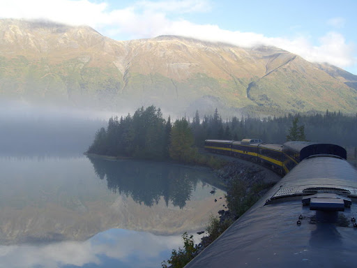 A Quick Journey to Fungal Paradise