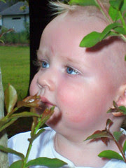 gideonplant