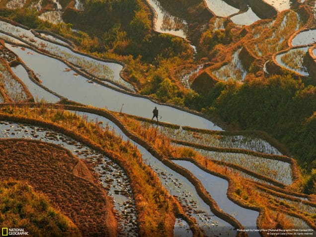 The best pictures from National Geographic's Photo Contest 2014