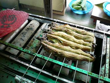 ウナギの泥抜きと臭み