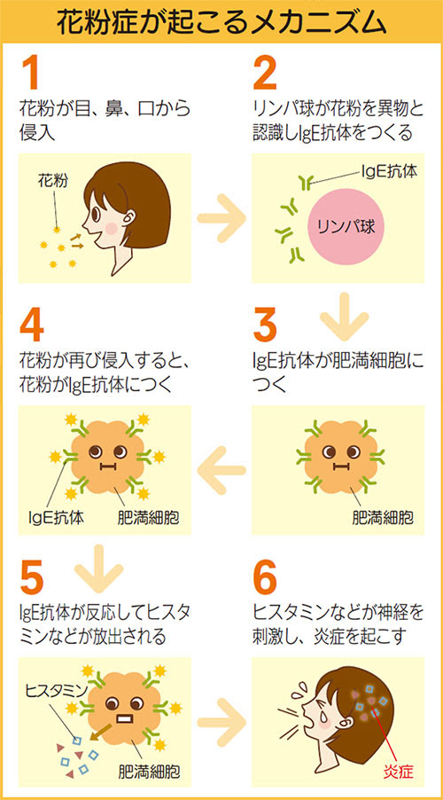 春を楽しむ季節に 花粉症対策 健康食品のインシップ