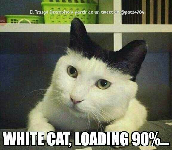 Chargement Du Chat Blanc A 90 Ou Chargement Du Chat Noir A 10 Meme By Z Memedroid