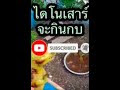 รีวิวของเล่นไดโนเสาร์ทีเร็กซ์ จะกินกบ รีวิวของเล่น EP35 I Pook555 TV I Tyrannosaurus dinosaurs