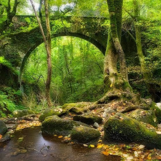 Eume River Bridge, Galicia, Spain