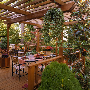 deck pergola