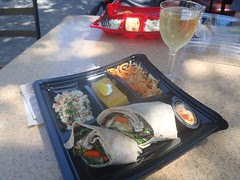 World of Color Picnic
