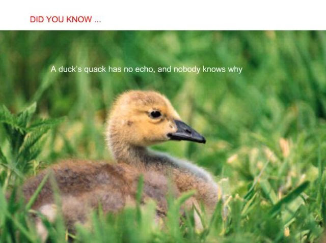 Did you know? (24 pics)