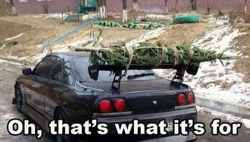 spoilers,christmas tree,cars,special delivery,g rated,win
