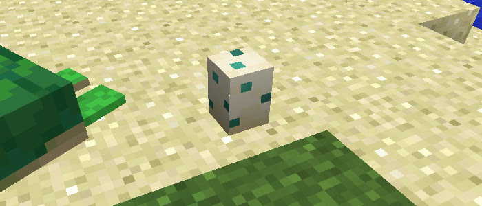 マイクラ1 13 カメを繁殖させる方法 カメの生息地などについて調査 マイクラモール