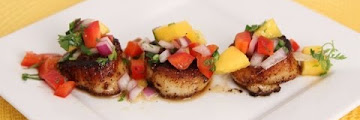 Scallop Salsa Free Download Sound Mp3 and Mp4