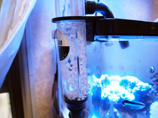 Burning とろぴかる Spirits 流動床フィルターのメンテナンスとハコフグ水槽の水漏れ