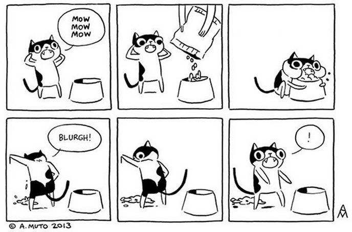 30 Mini Que Les Personnes Qui Ont Des Chats Comprendront
