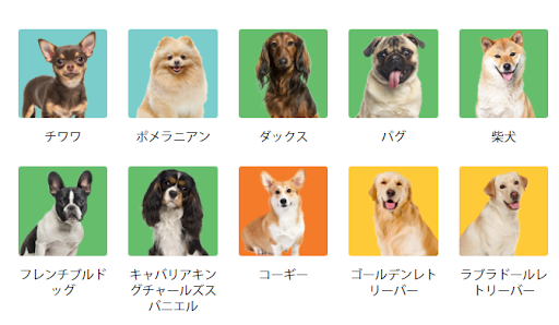イメージ
